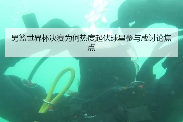 男篮世界杯决赛为何热度起伏球星参与成讨论焦点